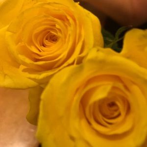 Meet your Posher, Kaitlyn